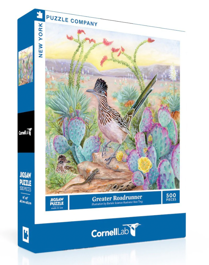 Greater Roadrunner
