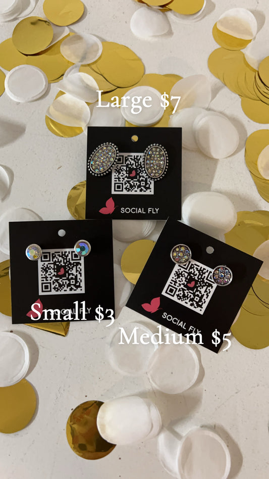 Silver Studded Earrings