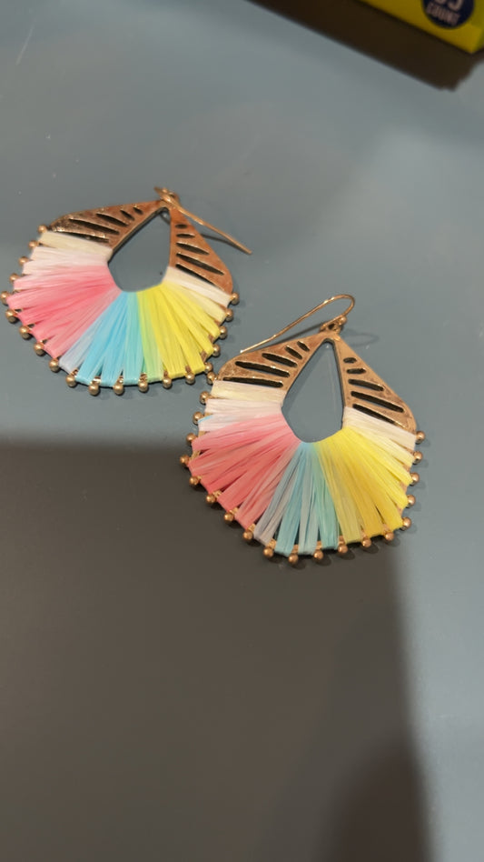 Multi Color Earrings