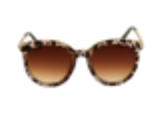 Gold Detailed Plastic Frame Sunglasses