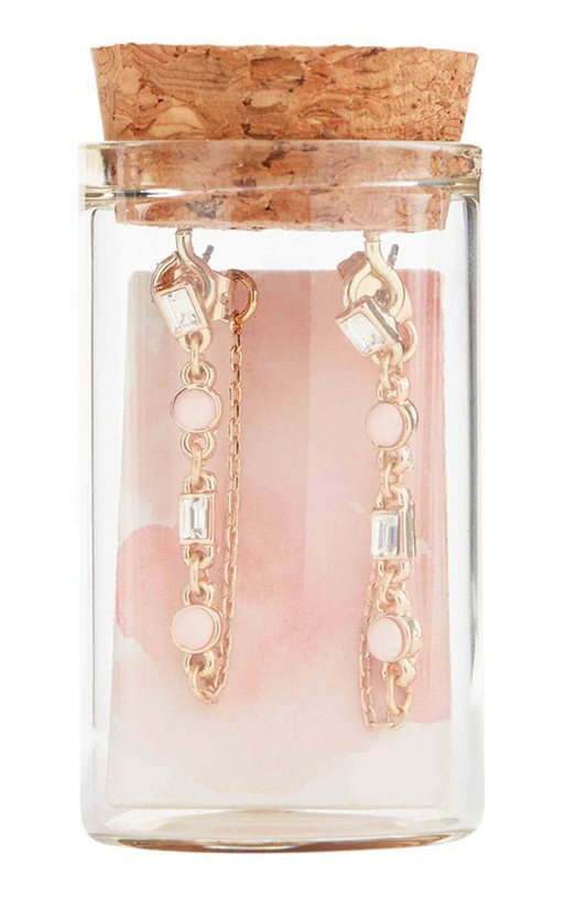 GLASS JAR EARRINGS-BS