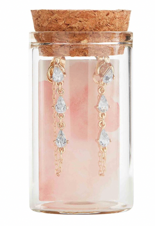 GLASS JAR EARRINGS-RS