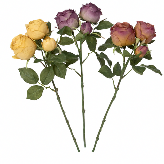 Dried Floribunda Rose Cuttings, Autumn Mix, 3 Assorted Colors