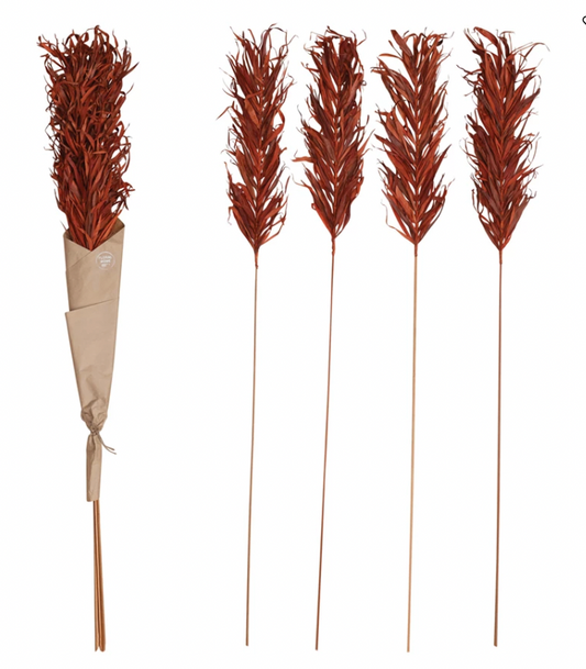 57"H Dried Natural Palm Grass Bunch, Orange Color (Contains 4 Pieces)