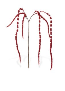 Hanging Amaranthus, Burgundy