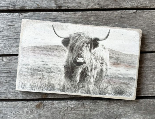 highland cow wooden sign
