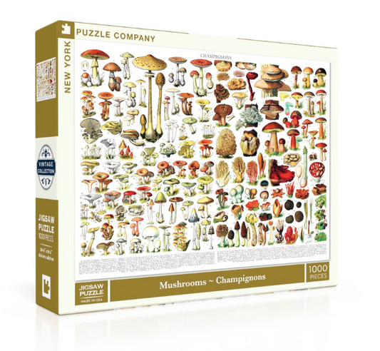 Mushrooms ~ Champignons