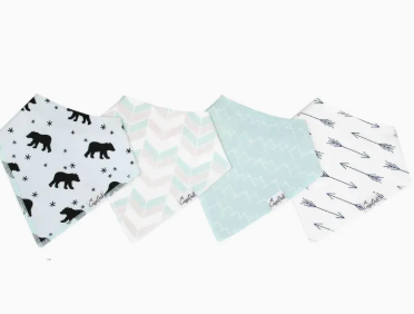 Baby Bandana Bibs - Archer
