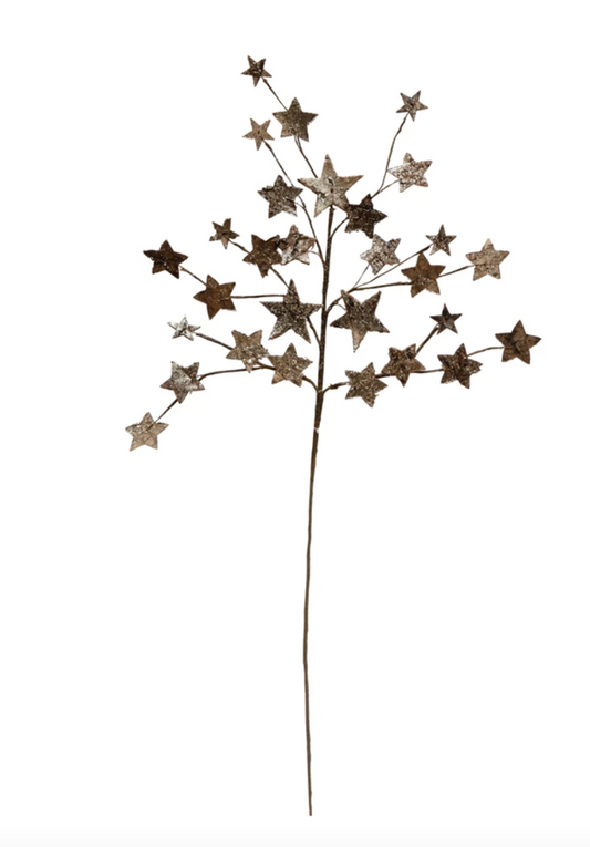 Birch Bark Star Pick with Glitter