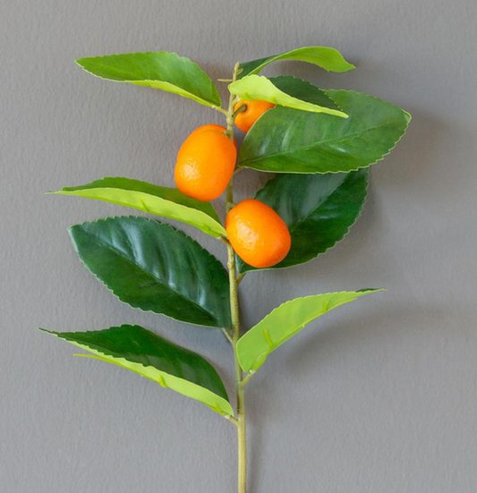 Crafted Kumquat Stem