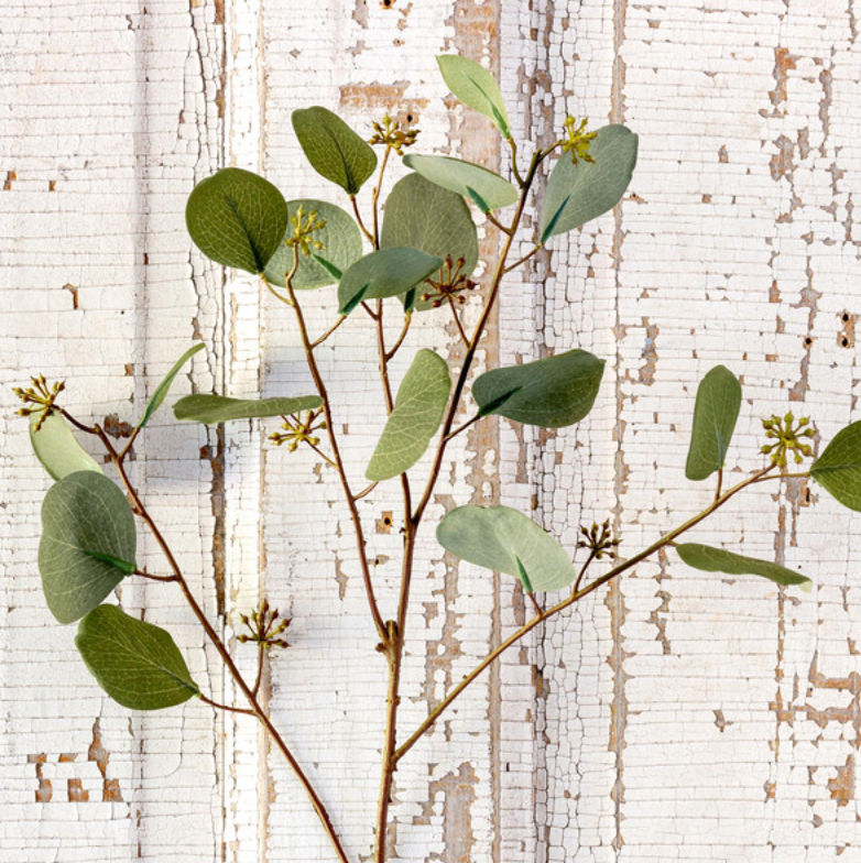 Crafted Silver Dollar Eucalyptus Stem