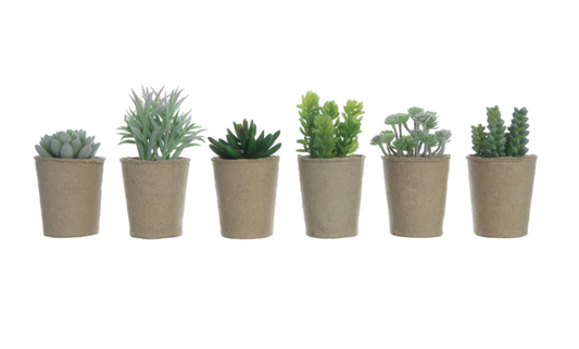 Faux Succulent in Paper Pot, 6 Styles