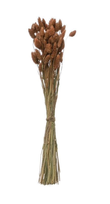 Dried Natural Canary Grass Bunch