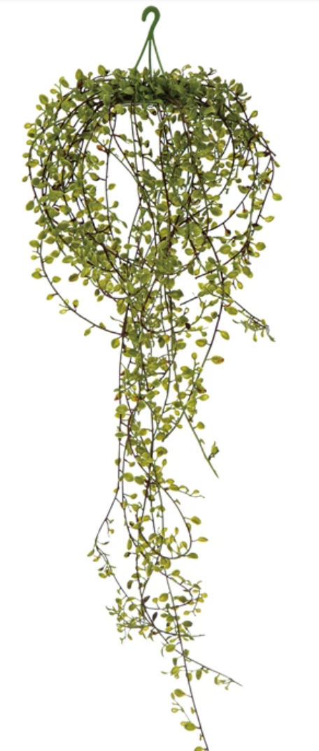 Faux Trailing Plant