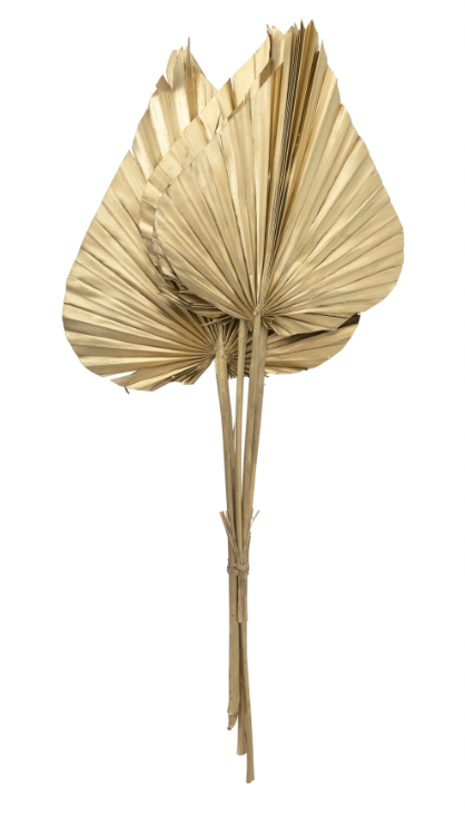 Dried Natural Spear Cut Palm Bunch, Gold Finish