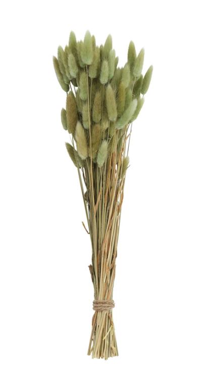 Dried Natural Bunny Tail Grass Bunch