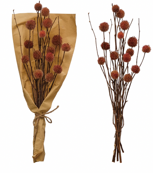 18"H Dried Natural Globe Thistle Bunch, Rose Color (Contains 4 Pieces)