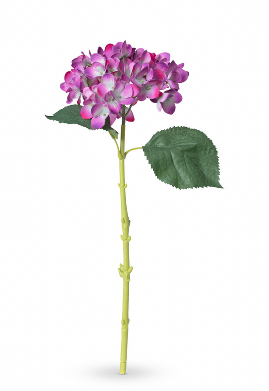 Garden Hydrangea Stem, Fuchsia