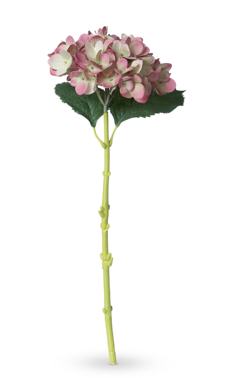 Garden Hydrangea Stem, Mauve