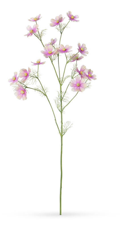 Cosmos Stem, Light Mauve