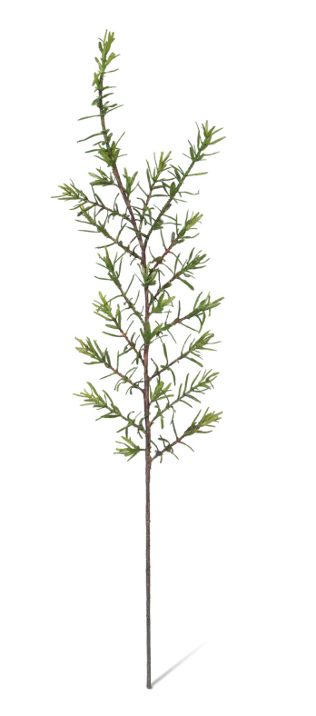 Crafted Rosemary Stem